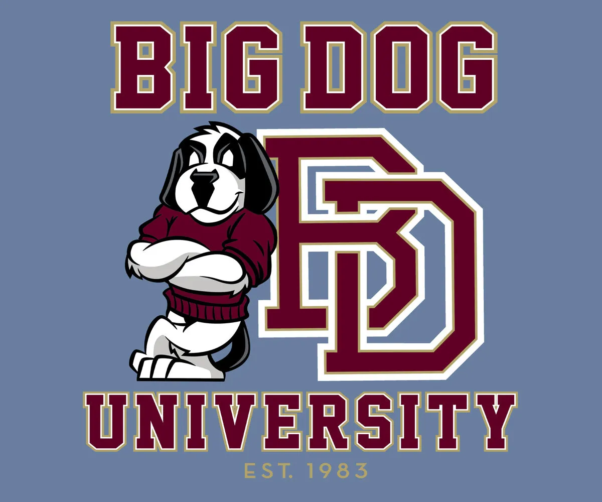 Bd University Burgundy Gold T-shirt