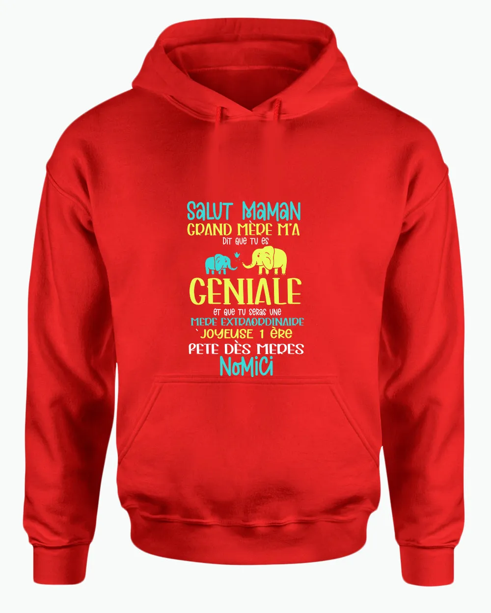 Salut maman grand mere m'a dit que tu es geniale hoodie, frenc hoodie, dad hoodies