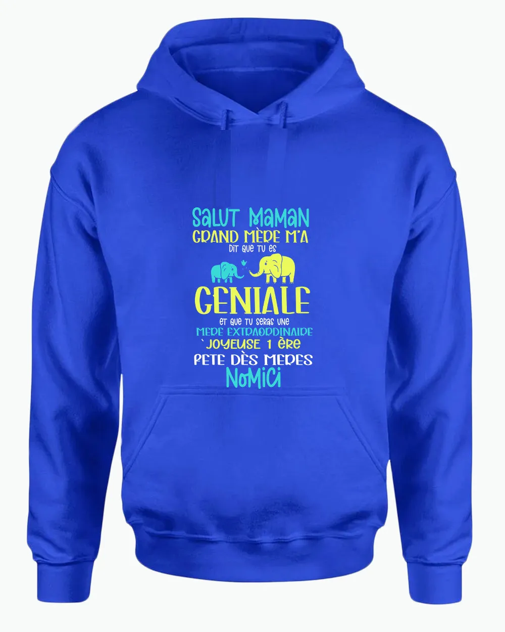 Salut maman grand mere m'a dit que tu es geniale hoodie, frenc hoodie, dad hoodies